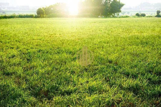 Imagem Terreno à venda, 250 m² por R$ 190.000,00 - Recreio Anhangüera - Ribeirão Preto/SP