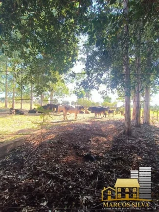 Imagem Chácara com 3 Quartos à Venda, em Portal das Araras - Três Lagoas