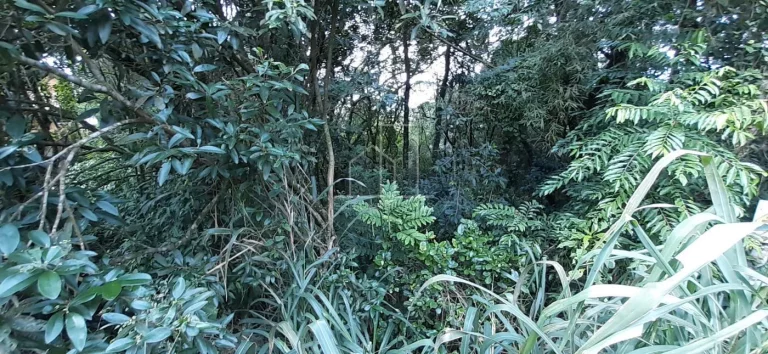 Imagem Terreno para Venda em Florianópolis / SC no bairro Vargem Grande