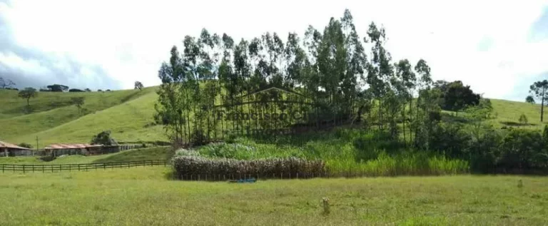 Imagem Sítio Sítio