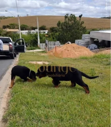 Imagem Terreno à venda em Condomínio Centro - Araçoiaba da Serra/SP
