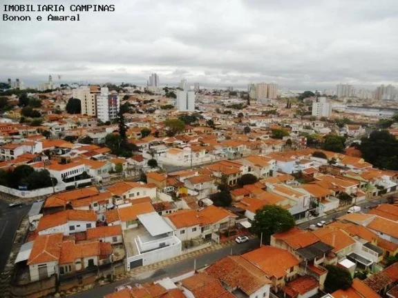 Imagem Cobertura à venda no Jardim Proença, fino acabamento, reformada, clean, ampla varanda gourmet no t...