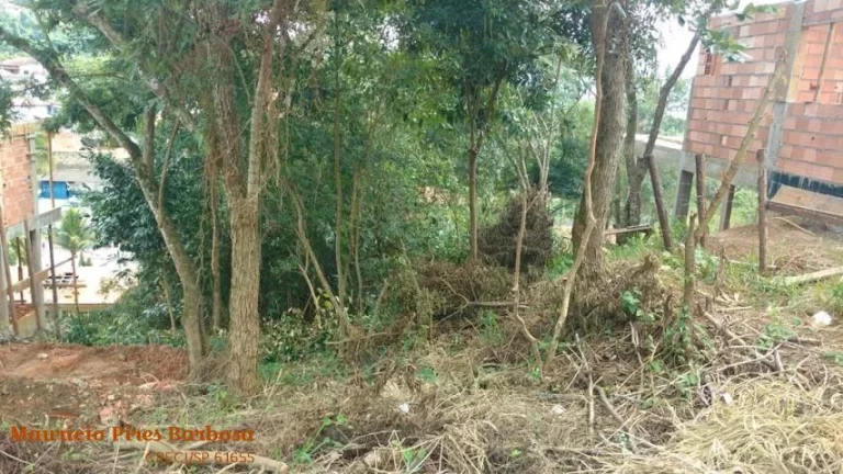 Terreno à Venda, 486 m² em Barra Velha - Ilhabela