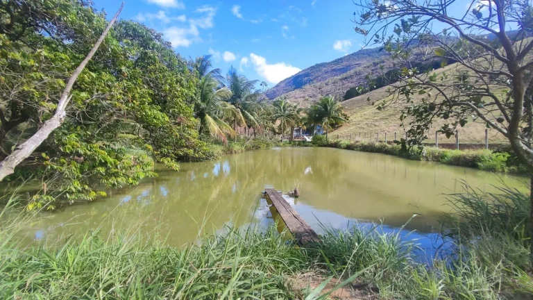 Imagem AREA RURAL em GUARAPARI - ES, COMUNIDADE URBANA DE SAMAMBAIA