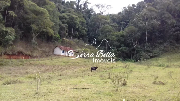 Imagem Fazenda com 7 dormitórios à venda, 2960000 m² por R$ 5.800.000,00 - Contendas - São José do Vale do Rio Preto/RJ