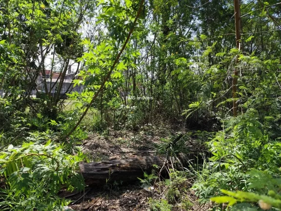 Imagem Terreno com 8945m2 em Santo André/SP