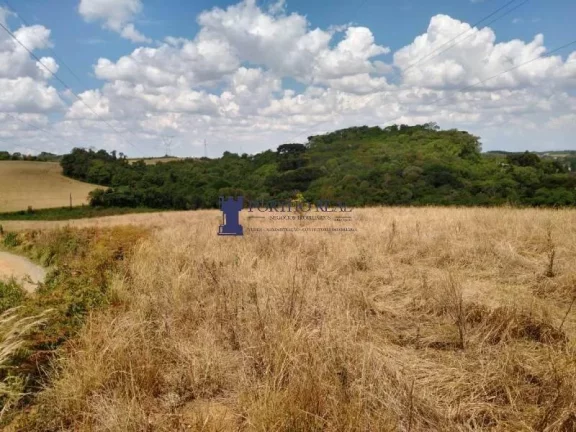 Imagem Área industrial FRENTE PARA BR 277 COM 30.398,01M2.

Frente para a Br 277 sentido Campo Largo com 1...