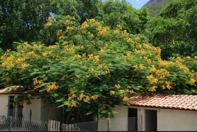 Imagem Sítio no Silvado Maricá