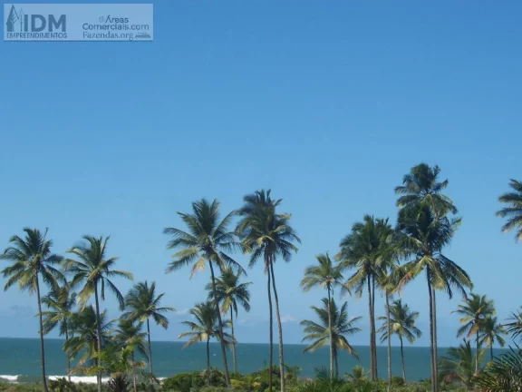 Imagem 400.000 m² com 500 m de frente ao Mar em Ilhéus - BA