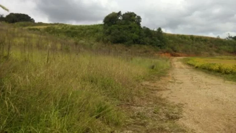 Imagem Terreno em Campo Magro