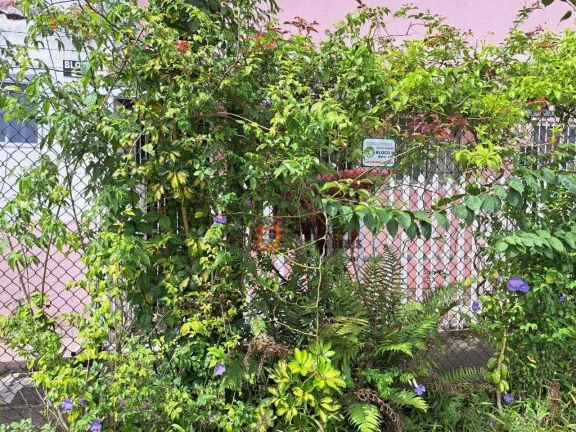 Imagem Apartamento com 2 dormitórios à venda, 55 m² por R$ 260.000,00 - Guapurá - Itanhaém/SP