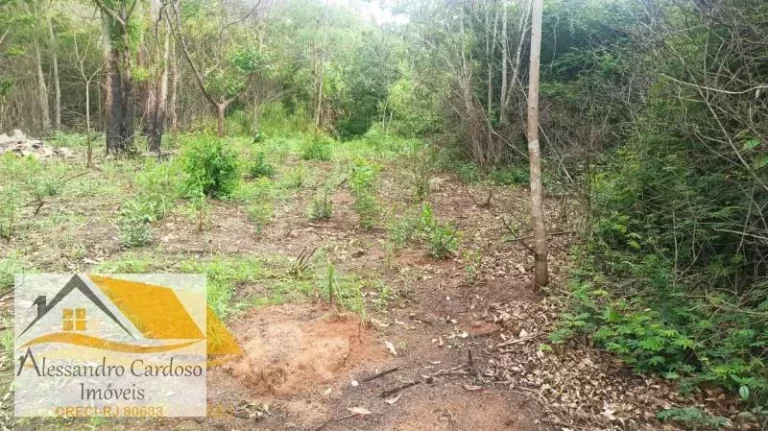 Imagem Vendo terreno rural com 18 mil mts² em Campo do Coelho