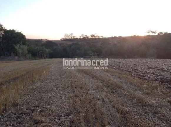 Imagem Vendo Terreno de 40.000m² Próximo a Ibiporã – Ótimo para Investimento, Loteamento, Agricultura ou Chácaras! Duas Escrituras! Agende uma Visita!