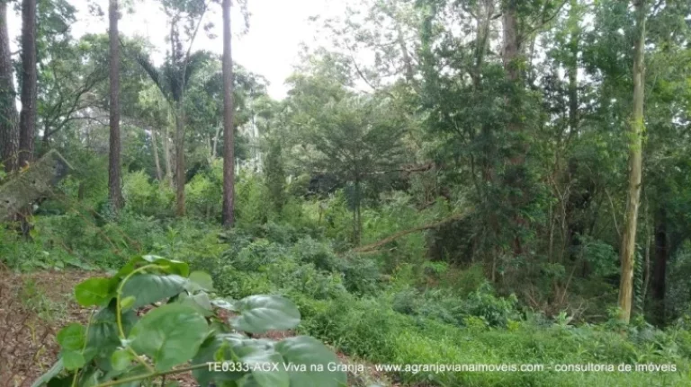 Imagem Terreno à venda, 652 m² por R$ 650.000,00 - Jardim Barbacena - Cotia/SP