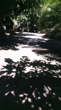 Imagem VENDO CASARÃO EM ARARUAMA, ÁREA TOTAL 525 m²-COQUEIRAL