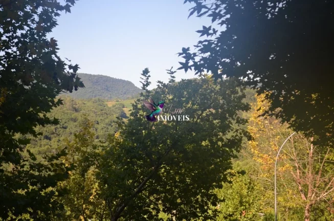Imagem Área à venda no bairro Linha Bonita - Gramado/RS