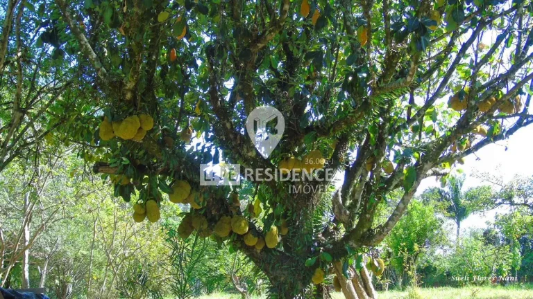Imagem Chácara à venda dentro da cidade