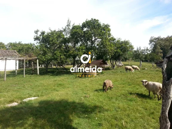 Imagem Chácara 2 dormitórios à venda Zona rural Santa Maria/RS