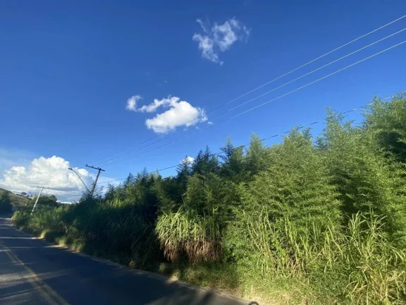 Imagem Terreno à Venda com 15.961,90 m2 na Colônia Rodrigo Silva