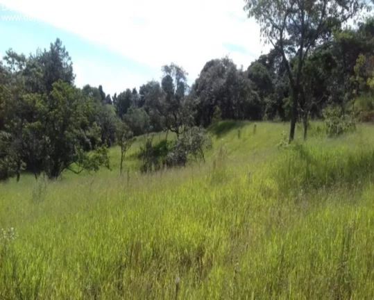 Imagem TERRENO RESIDENCIAL em SÃO ROQUE - SP, MARMELEIRO