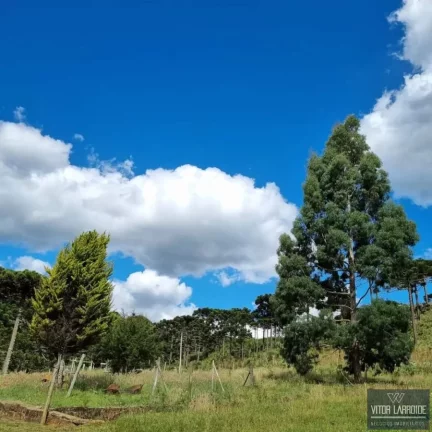 Imagem Fazenda de 34 hectares - São Joaquim/SC, Serra Catarinense