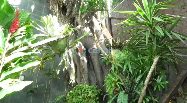 Foto do imóvel: Casa com 3 dormitórios à venda, 170 m² por R$ 750.000,00 - São Conrado - Rio de Janeiro/RJ