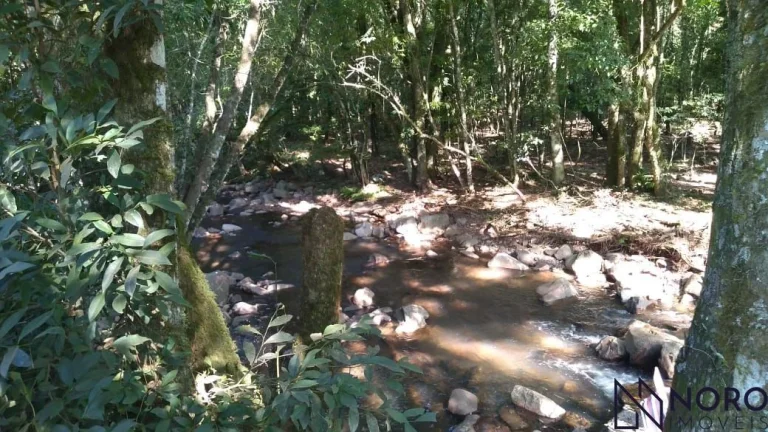 Imagem Casa no campo. Chácara para quem aprecia a natureza, mata nativa, riacho