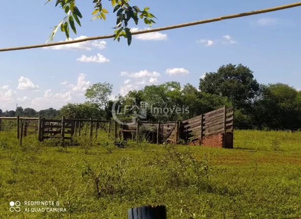 Imagem Excelente Chácara, 15.5 Ha, formada,