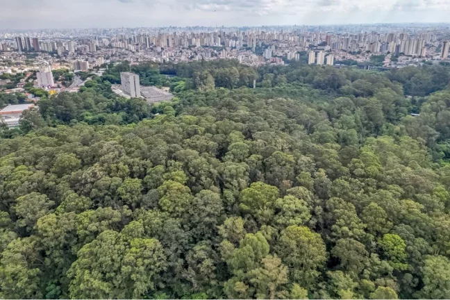 Imagem APARTAMENTO RESIDENCIAL em São Paulo - SP, Tucuruvi