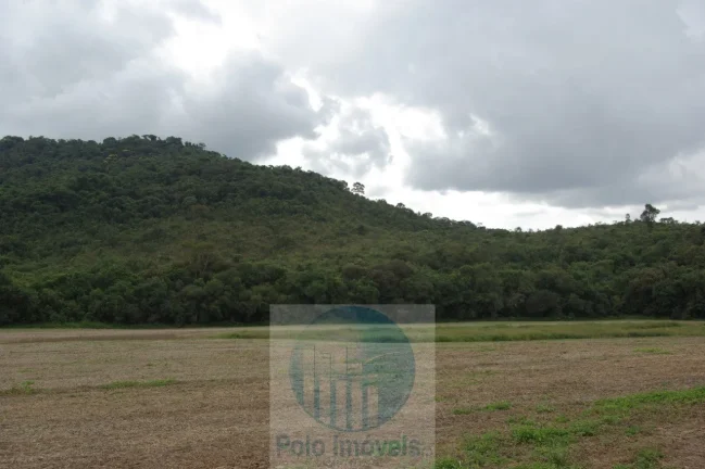 Imagem Sitio 8,23 alqueires ou 19,93 ha para compensação de Reserva, R$ 60 mil o alqueire - Jacuí - Minas Gerais.