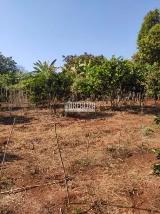 Imagem Chácara à venda próximo à Delta: seu refúgio rural na cidade