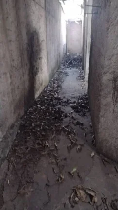 Imagem Mais interessante do que parece à primeira vista