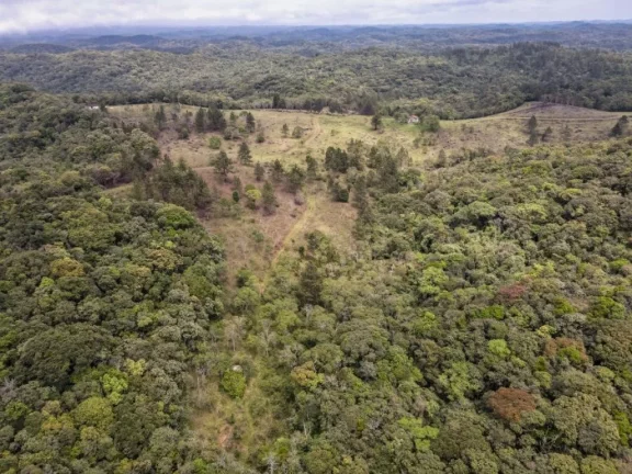 Imagem Fazenda à venda de 118,75 hectares em Embu Guaçu!!! Oportunidade incrível!