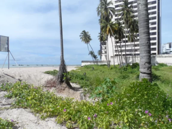 Imagem Terreno, 3150m2, à venda - Piedade - Jaboatão dos Guararapes
