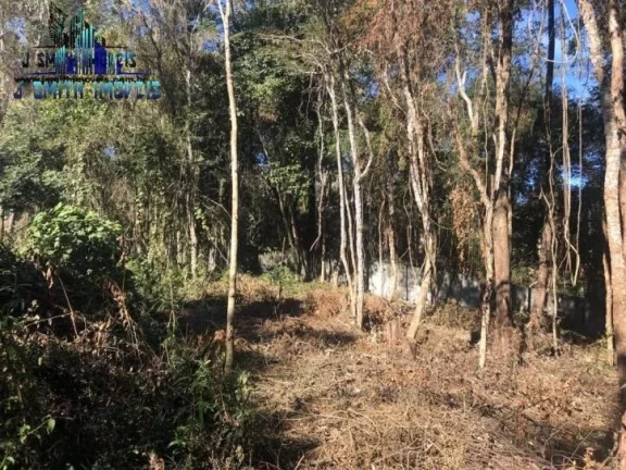 Imagem TERRENO 500 m² DENTRO DE CONDOMÍNIO FECHADO.

Área com 20 metros de frente, e com vegetação sec...