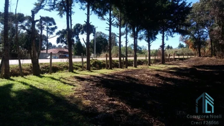 Imagem Chácara ótima localização a venda 02 casas, piscina, açude, salão de festas, em Mandirituba PR