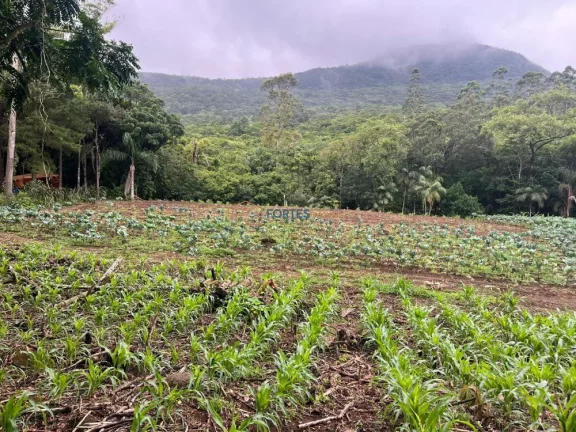 Imagem Hectares no Sul, Area de terra no RS, Hectare em maquine, RS