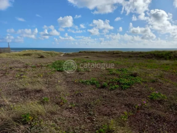 Imagem Terreno à venda na Praia de Barreta, Nísia Floresta: - 4.477m²