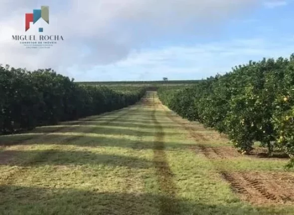 Imagem Fazenda Região de Marilia SP