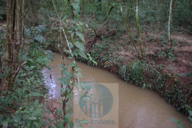 Imagem Sitio 8,23 alqueires ou 19,93 ha para compensação de Reserva, R$ 60 mil o alqueire - Jacuí - Minas Gerais.