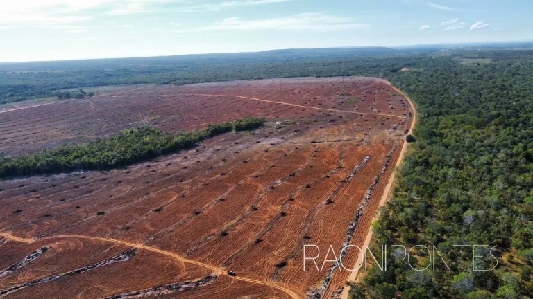 Fazenda à Venda, 484 m² em Zona Rural - São Valério Da Natividade