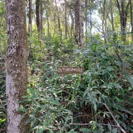 Imagem Condomínio Fechado - Terreno à venda, 1000 m² por R$ 250.000 - Condomínio Canadá Village - Mairiporã/SP