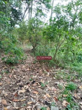 Imagem Chácara com 2 dormitórios à venda, 1000 m² por R$ 400.000,00 - Chácara Cabuçu - Guarulhos/SP