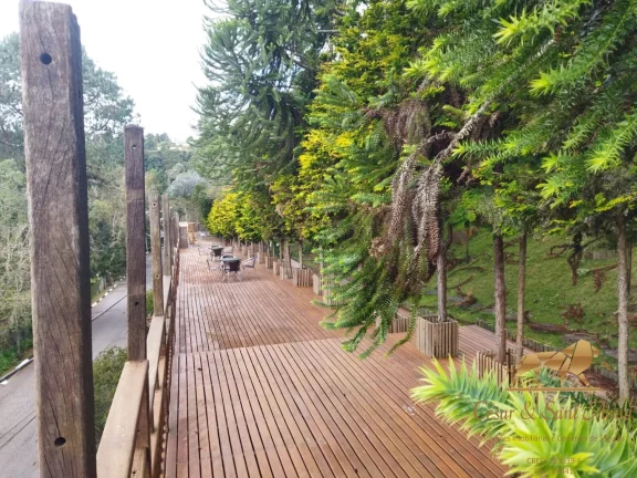 Imagem Oportunidade única, mansão com valor de ocasião em Campos do Jordão/SP