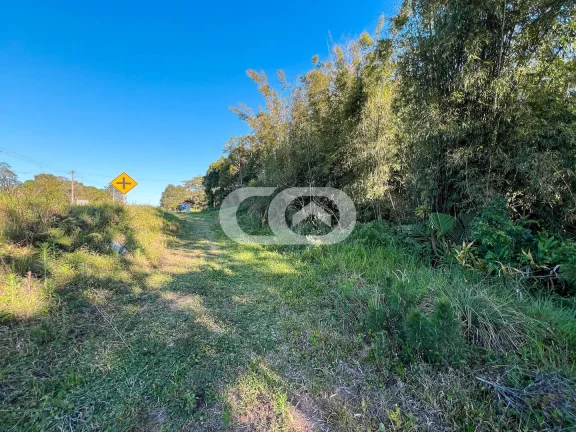 Imagem Área à venda | Pinheiros | Bal. Barra do Sul