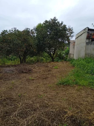 Imagem Área no Campo do Santana - Ideal para Construção de Casas - R$2100000,00