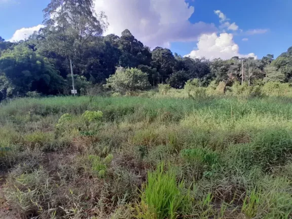 Imagem Lote à venda em Barbacena, Colônia Rodrigo Silva, 2500m2
