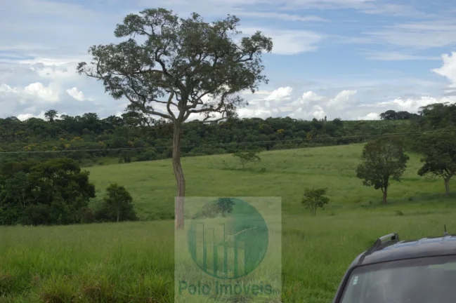 Imagem Fazenda em Cajuru 72 alqueires com soja, gado, braquiária e estrutura, 75 km de Ribeirão Preto - SP