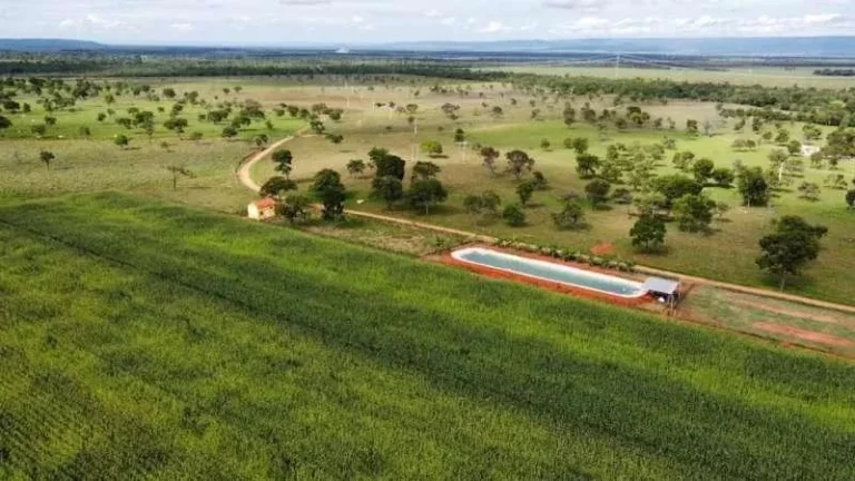 Imagem Oportunidade Única! Fazenda de Alto Potencial em Várzea da Palma - Conheça Agora!