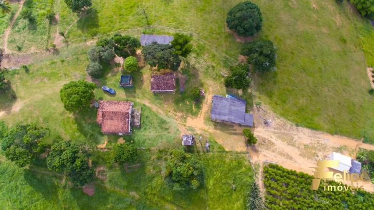 Imagem FAZENDA NO MUNICÍPIO DE LINHARES A 45 KM DE COLATINA.